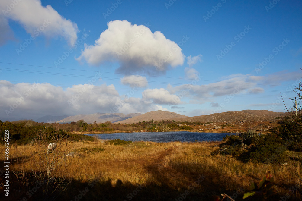 Fototapeta premium Irland, Insel Winter 2016 & 2017