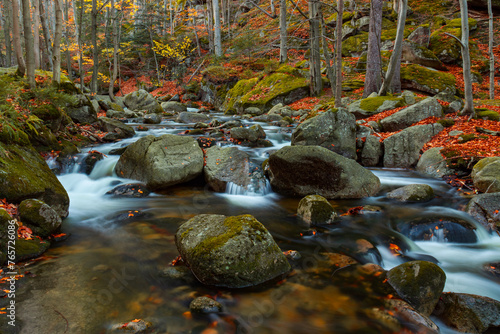 Fototapeta Naklejka Na Ścianę i Meble -  Górski potok Podgórna (Przesieka) jesienią w otoczeniu lasu w górach Karkonosze