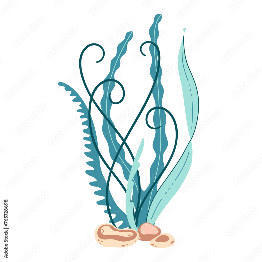 Seaweed. Hand drawn algae colorful seaweed. Underwater plants. Modern flat illustration. Vector illustration