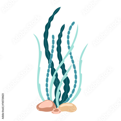 Seaweed. Hand drawn algae colorful seaweed. Underwater plants. Modern flat illustration. Vector illustration