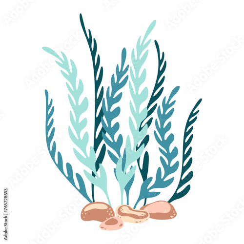 Seaweed. Hand drawn algae colorful seaweed. Underwater plants. Modern flat illustration. Vector illustration