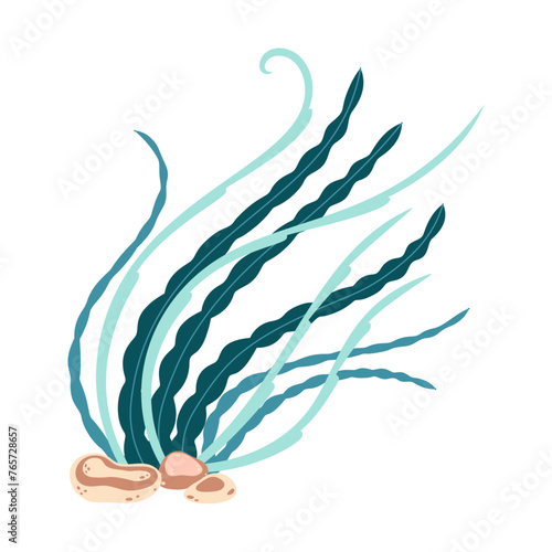 Seaweed. Hand drawn algae colorful seaweed. Underwater plants. Modern flat illustration. Vector illustration