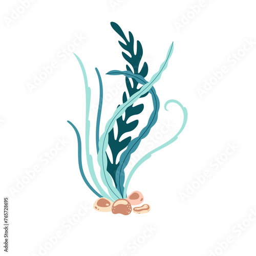 Seaweed. Hand drawn algae colorful seaweed. Underwater plants. Modern flat illustration. Vector illustration