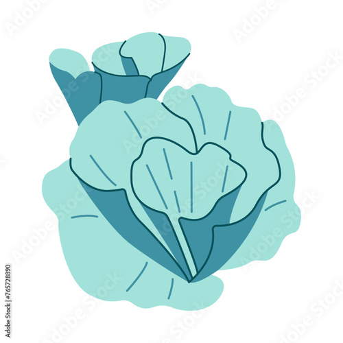 Vase coral. plating montipora. Corals colonies. Tropical waters fauna. Hand drawn exotic coral reef underwater nature life. flat style isoated on white background