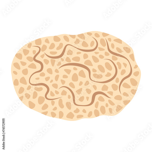 Sponge. Sea wildlife. Hand drawn Sea sponge. Colonial marine animal anemone. Underwater tropical exotic reef plant. Vector illustration