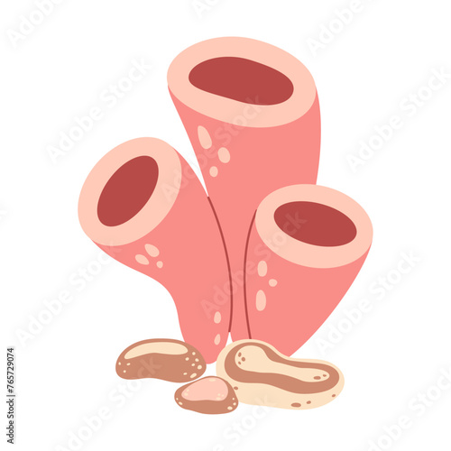 Pink tube sponges. Sea wildlife. Hand drawn tube sponges. Sea Porifera sponges. Colonial marine animal anemone. Underwater tropical exotic reef plant. Vector illustration