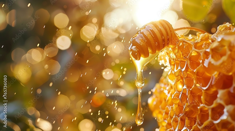 A drizzle of honey from the sun, sweet sunlight - obrazy, fototapety, plakaty 