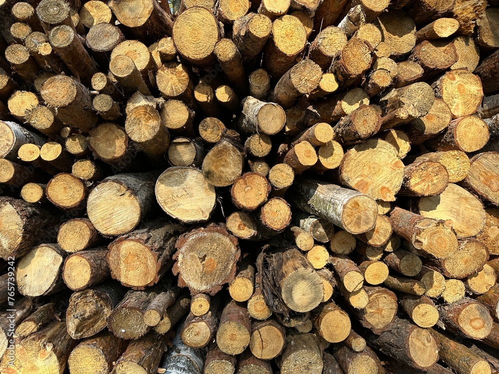Fototapeta premium A pile of firewood is stacked. Cut down trees lie in one heap. Material for fire and heating. Birch and oak firewood, lumber.