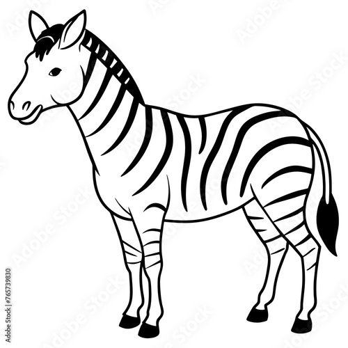 zebra  isolated on a transparent background