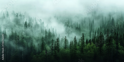 misty forest with fog in the mountains, Misty landscape with fir forest in hipster vintage retro style. dark green Misty landscape with fir forest banner