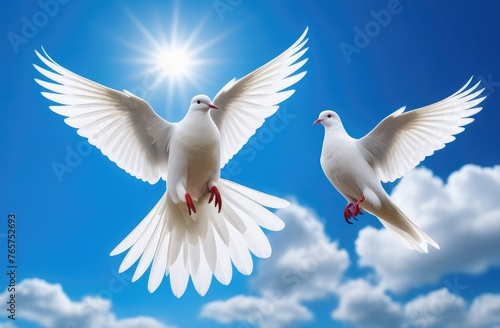 White wedding doves in a blue sky