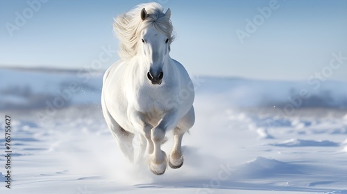 Beautiful white horse running in the snow  white hair  beautiful forest covered with heavy snow in background 