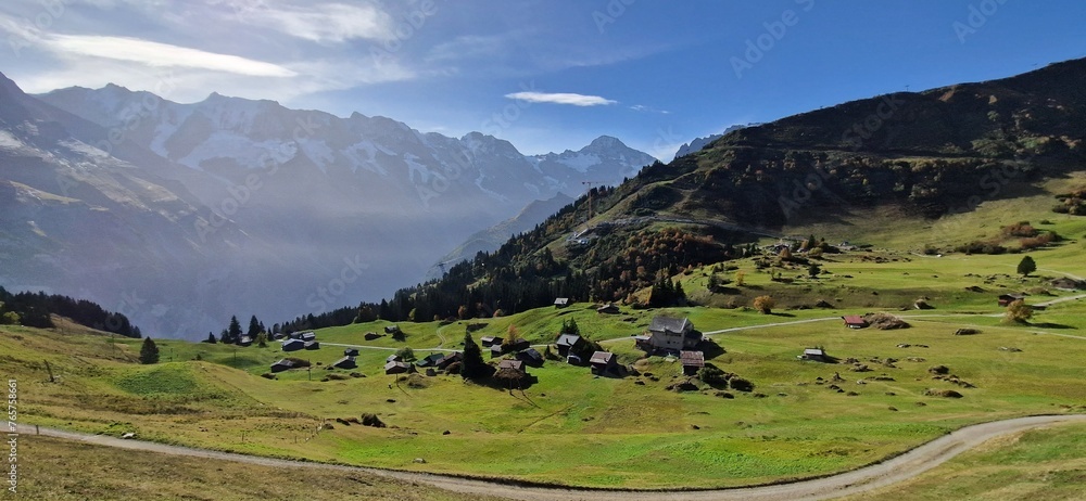 Swiss alpine meadows