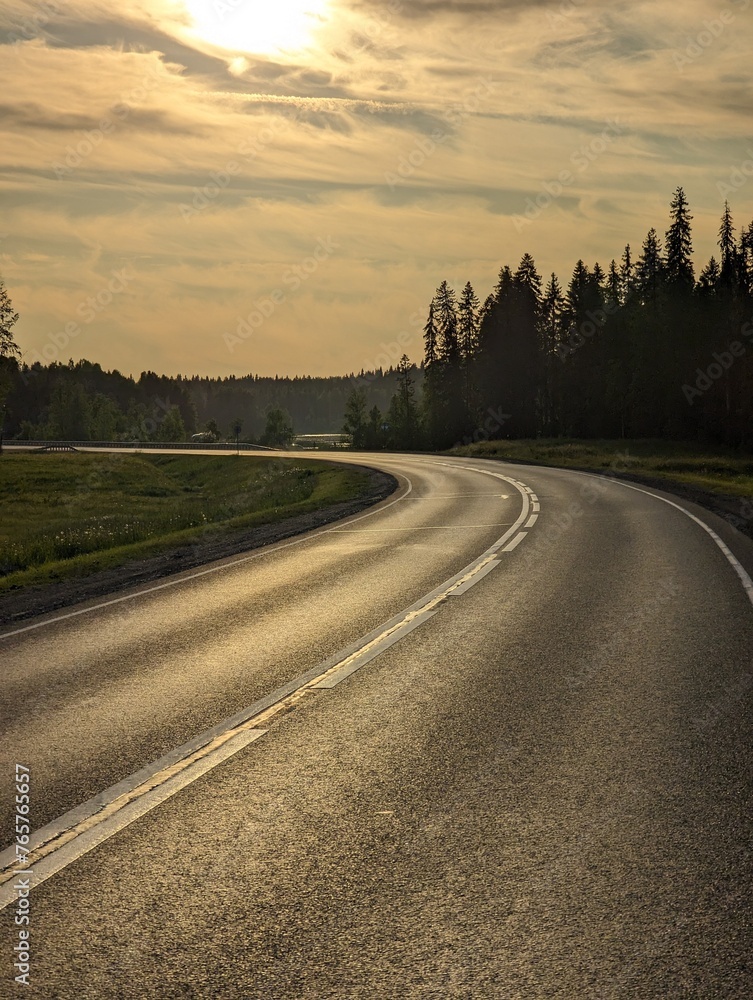 Treelined road with sunset in background, under a colorful sky