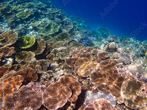 沖縄・宮古島の沖合、八重干瀬の美しいサンゴ礁