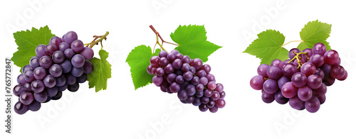 Set of grapes purple and leaves ivy transparent background.