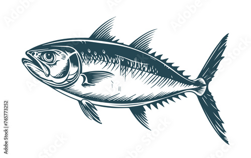 fish on a white background