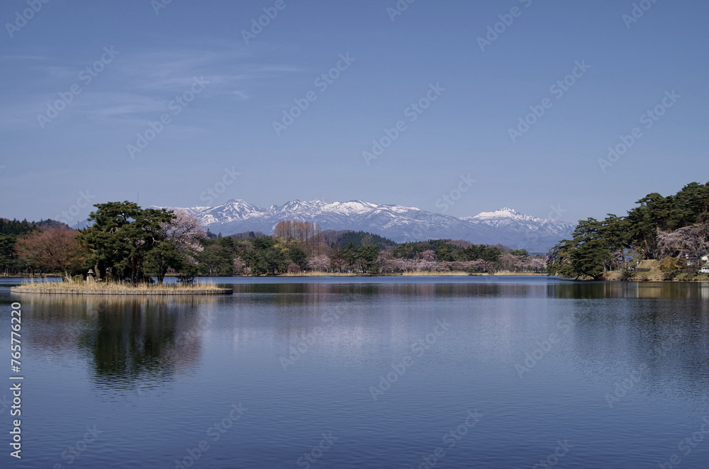 福島県　南湖公園の桜。遠くに見えるのは那須連山。