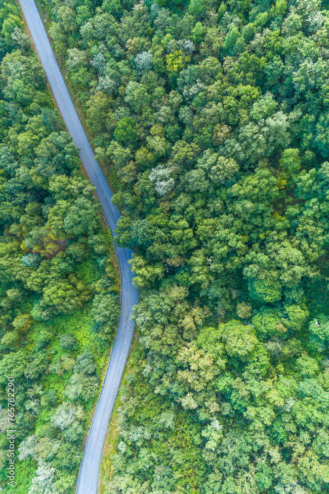 drone aerial top view of a curvy road in a forested mountain in summertime