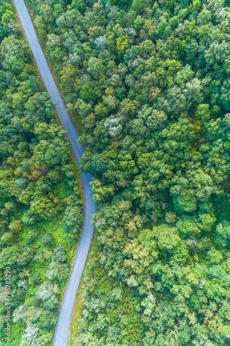 drone aerial top view of a curvy road in a forested mountain in summertime © VicVaz