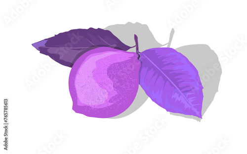 purple fruit and leaves on a white background