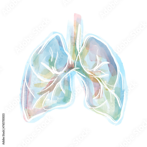 Płuca. Układ oddechowy 