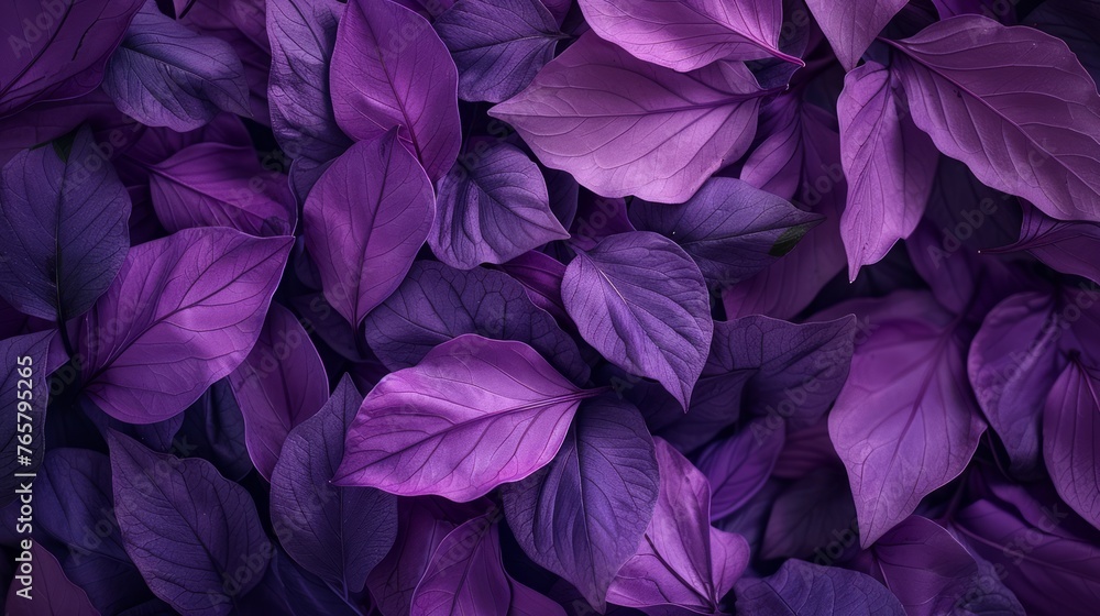 purple flower petals and leaves