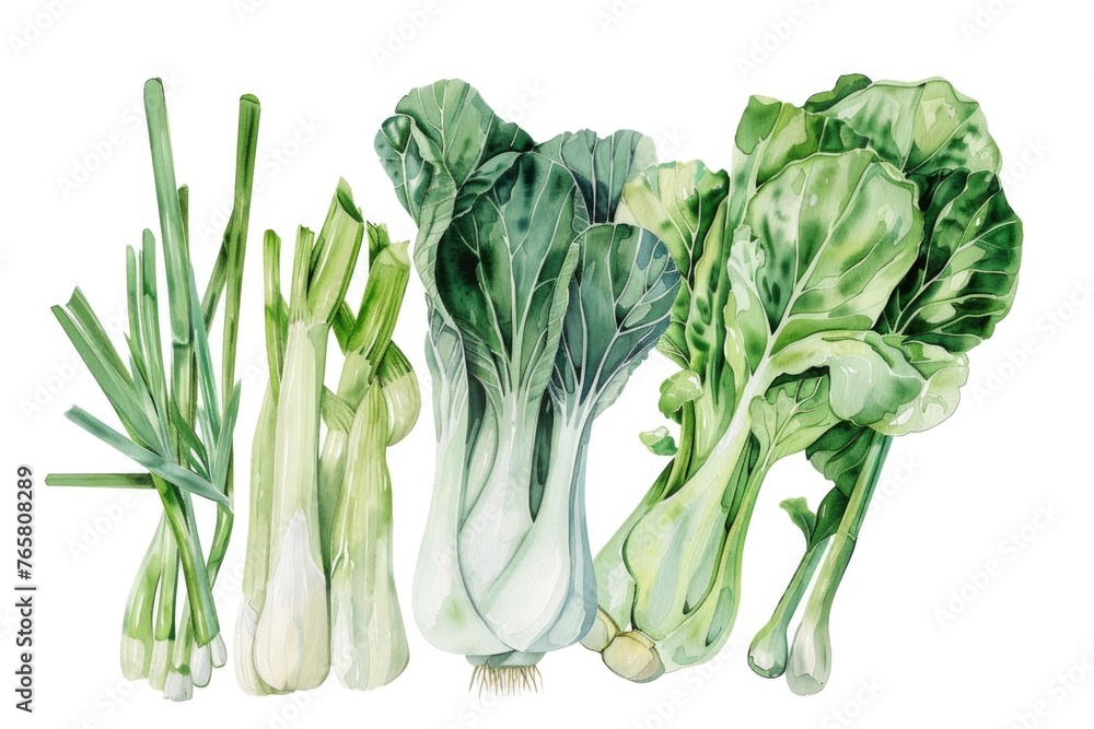 A serene watercolor assortment of bok choy, scallions, and bamboo shoots on white - obrazy, fototapety, plakaty 