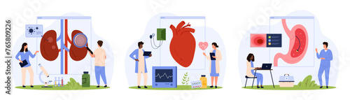 Medical examination of internal organs in hospital set. Tiny people check kidneys health with magnifying glass and stomach with endoscope, monitor heart on EKG machine cartoon vector illustration