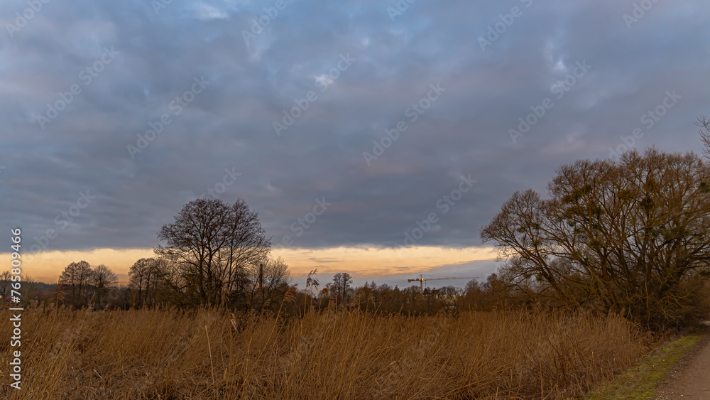 A landscape of wetlands on the Suprasl River in Podlasie on a march morning at sunrise.