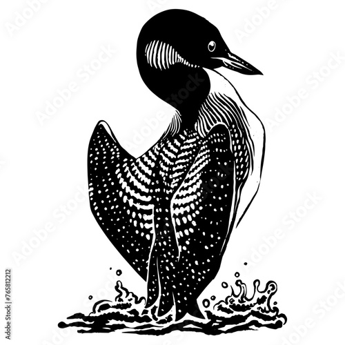 Loon_Vector_Bird photo