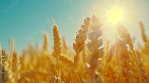 Golden wheat field. Background with copy space. Golden grain, close up, landscape concept. Generated by artificial intelligence.