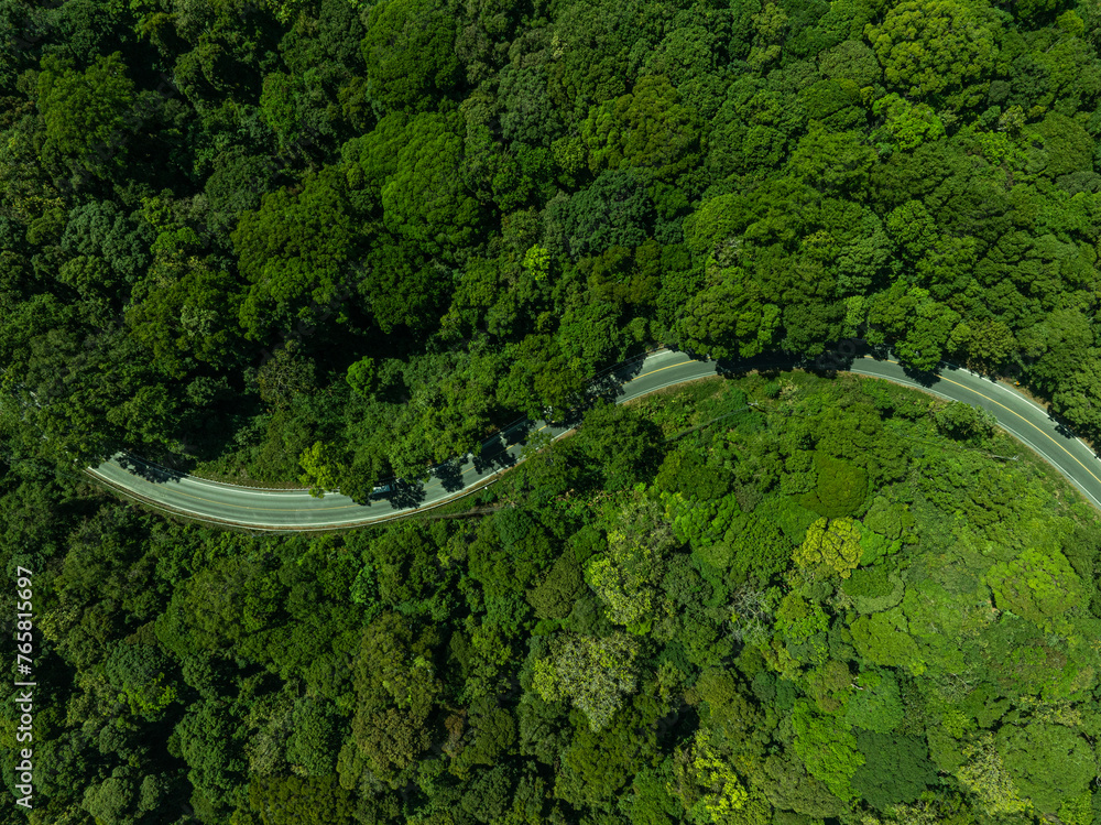 Forest road, Aerial view car in the forest on asphalt road, Car in rural road in deep rain forest with green tree forest view from above, Ecosystem ecology healthy environment road trip travel.
