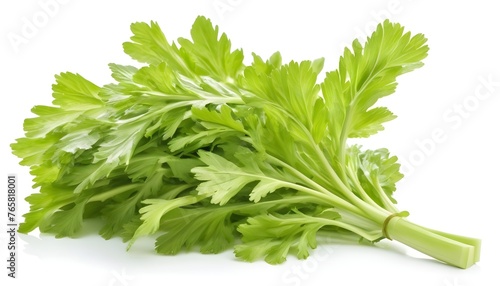 Green celery leaves isolated on a white background