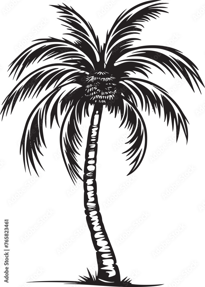 Palm Tree  Silhouettes 