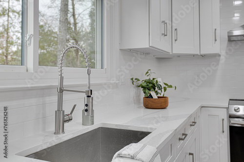 Ultra Modern Steel Open Sink with Extendable Faucet Head  Plant In Corner  White Cabinets