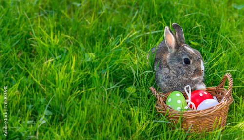 easter rabbit with a basket with easter eggs