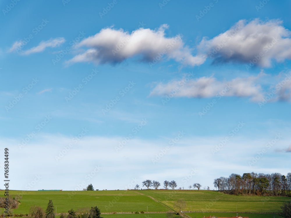 Distant horizon line with cows and trees, sky with clouds, Monts du Lyonnais, France