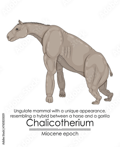 Chalicotherium, Ungulate mammal with a unique appearance, resembling a hybrid between a horse and a gorilla from Miocene epoch. photo