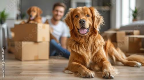 Family with pets moving to new home. Stack of cardboard boxes and dog sitting near cardboard box. Relocation, renovation, delivery service, donation concept. Generative ai photo