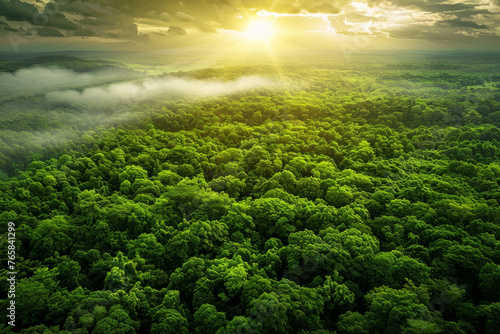 An aerial view of lush green forests stretching to the horizon  forest conservation and Earth Day concept.