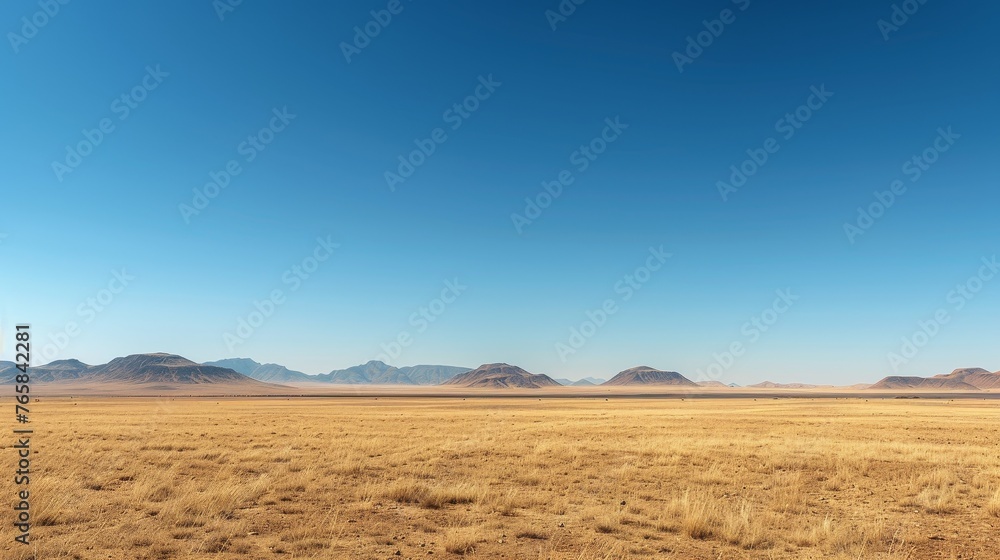 The environment: A vast desert landscape under a clear blue sky The environment: A vast desert landscape under a clear blue sky