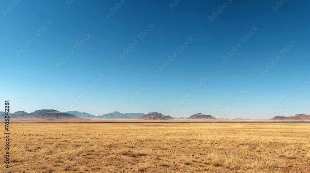 The environment: A vast desert landscape under a clear blue sky