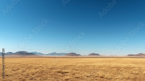 The environment  A vast desert landscape under a clear blue sky