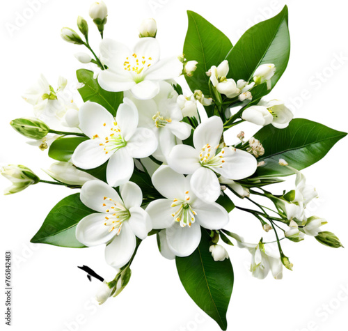 Jasmine white roses bouquet of flowers beautiful decoration floral image	
