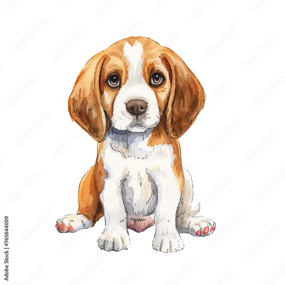 cute beagle vector illustration in watercolour style