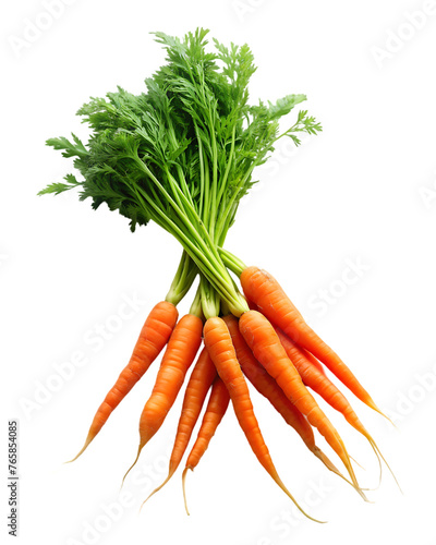 carrot isolated on transparent