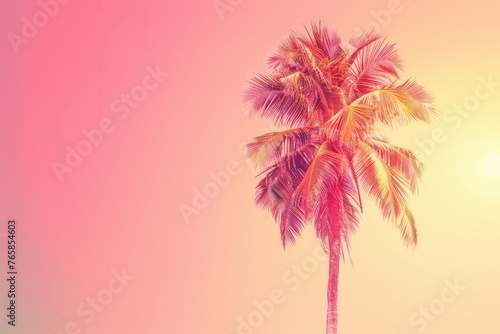 A palm tree stands tall with a pink sky in the background, creating a striking silhouette