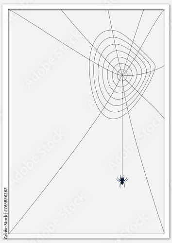 Spinnennetz 1