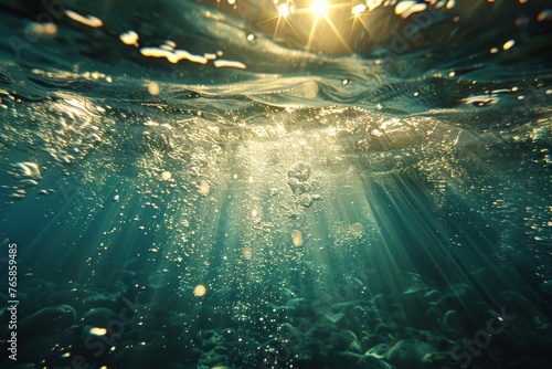 Rays of light filter through water onto a rocky ocean floor, revealing an underwater sanctuary.